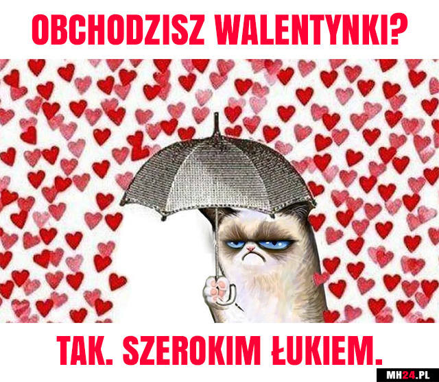 mem walentynki2