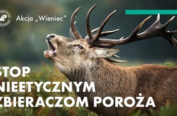 akcja wieniec