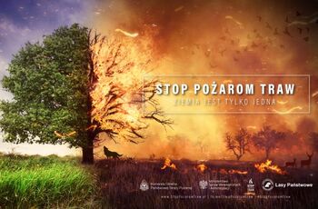 stop wypalaniu traw