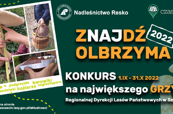 znajdz olbrzyma 2022