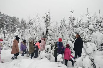 Poszukiwanie drzewka Starogard 12