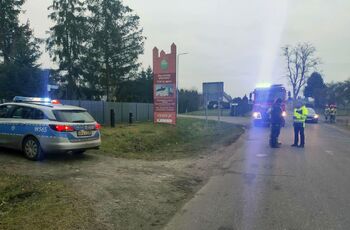 Podciete drzewo Lugowina 02
