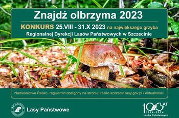 olbrzym 2023