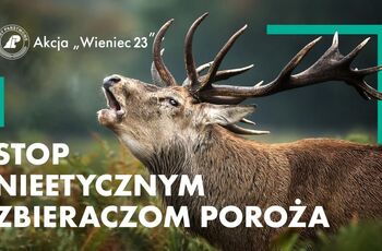 Wieniec 2023 02