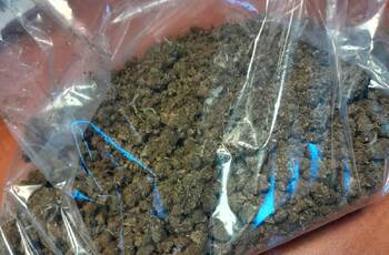 marihuana policja lobez