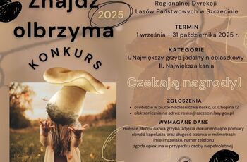 Konkurs Grzyby 2025